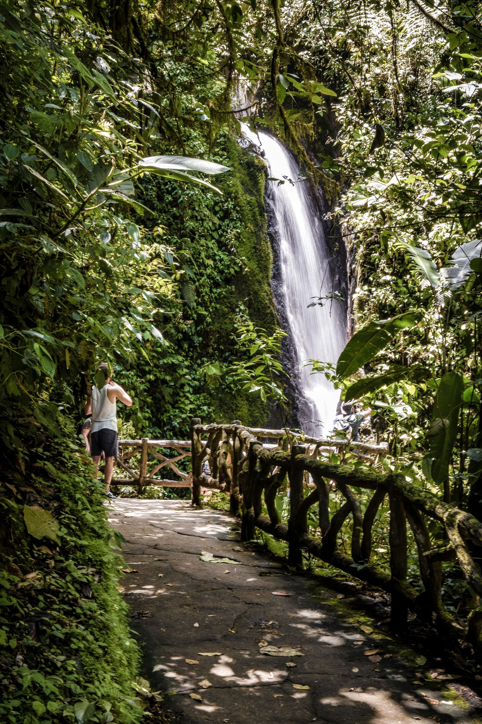 Man walks toward a waterfall along a wooden-railed path in a lush green rainforest at Parque Nacional Volcán Arenal, Costa Rica.