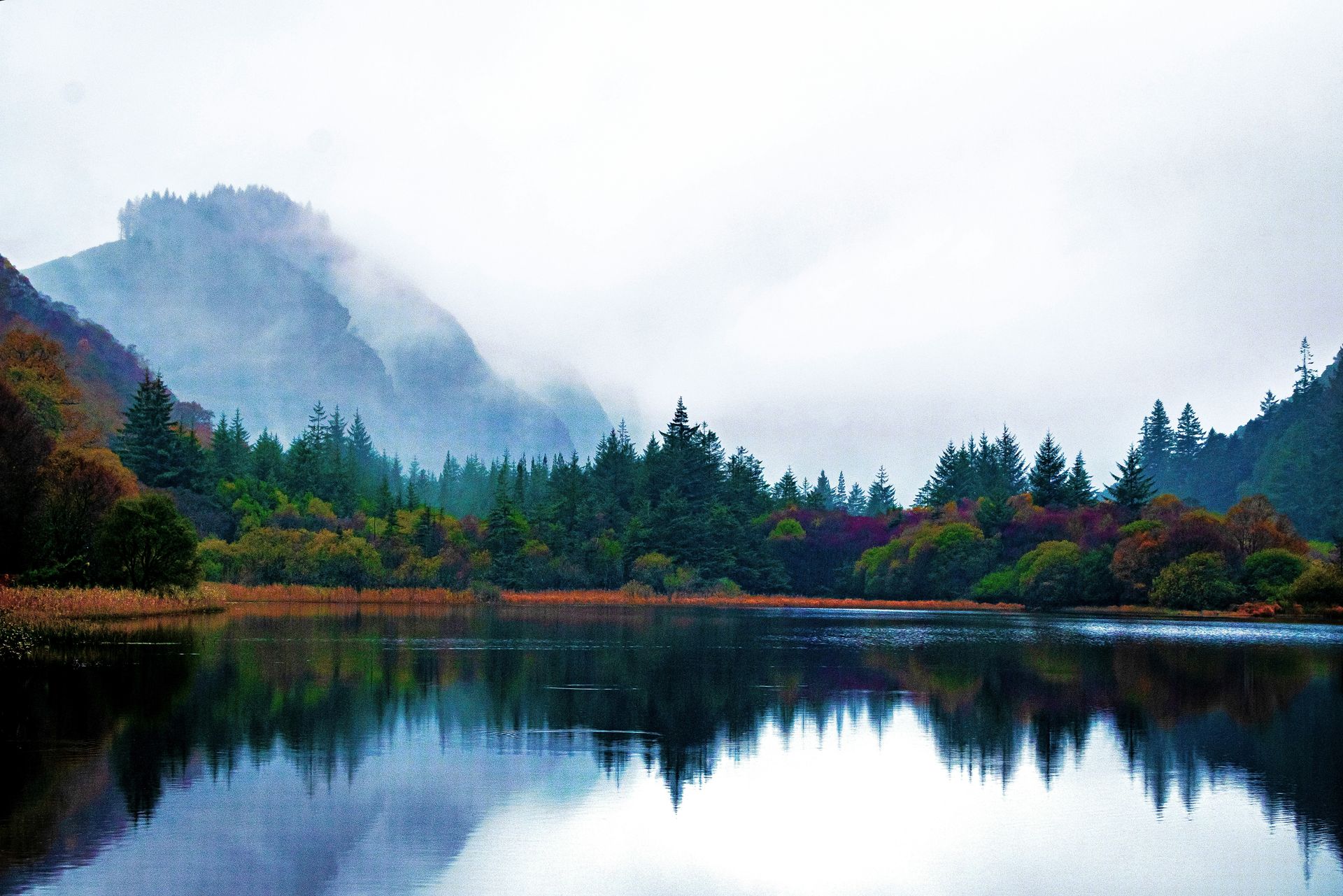 Foggy lake with forest and mountain reflections in Glendalough, Ireland.