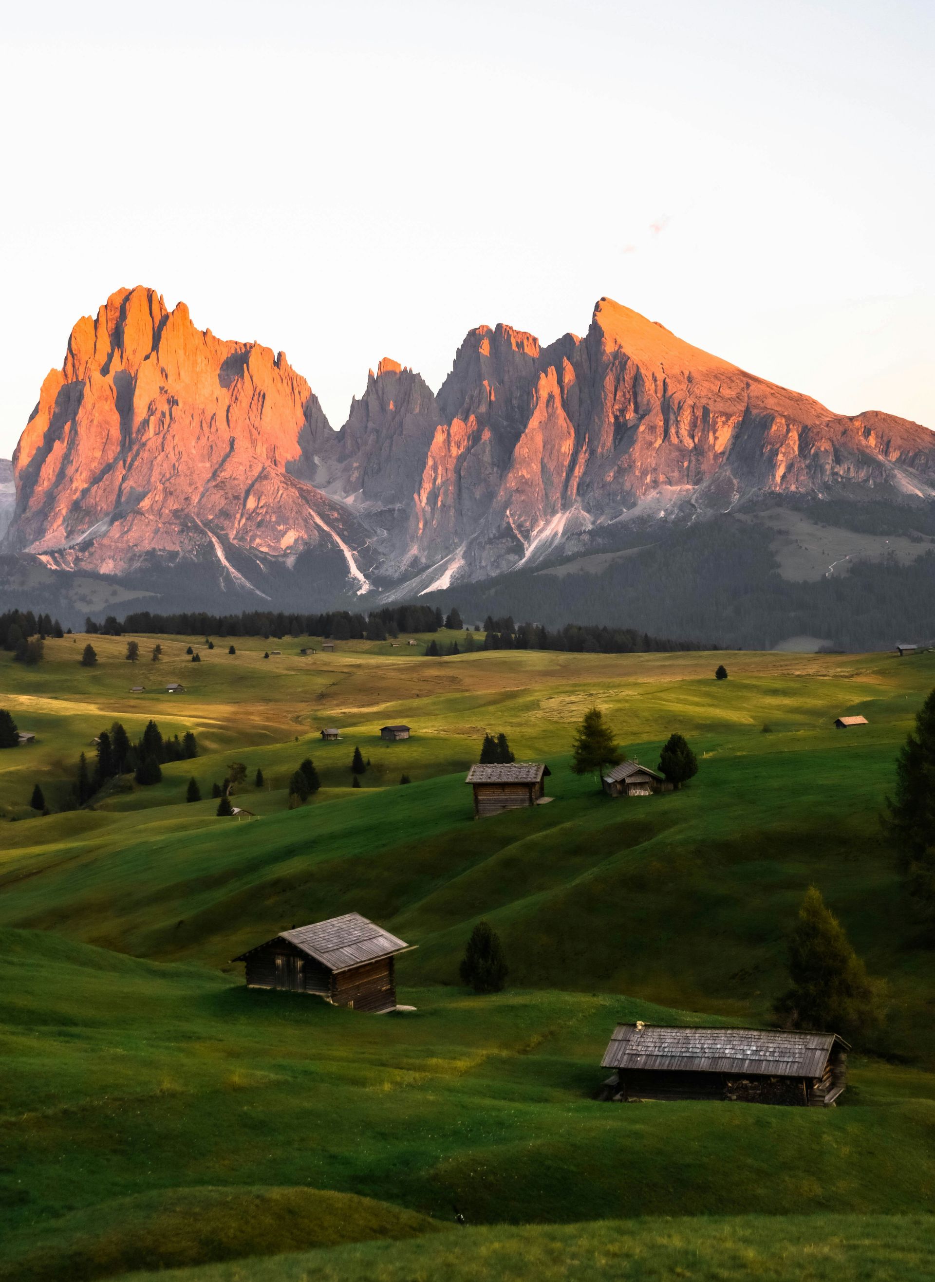 A lush green field with the Dolomites in the background in Italy.