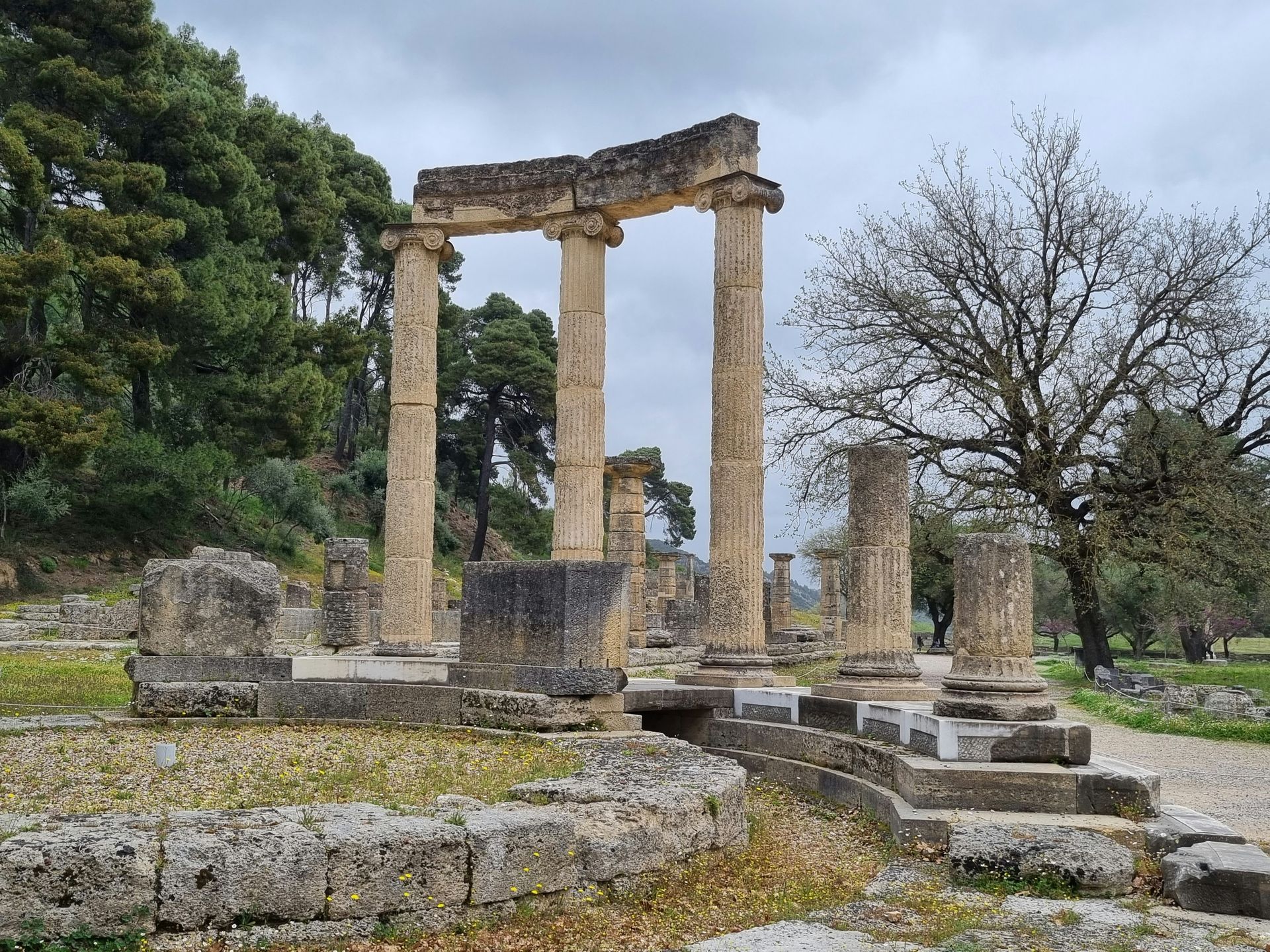 A group of columns in a field with trees in the background in the Peloponnese, Greece.