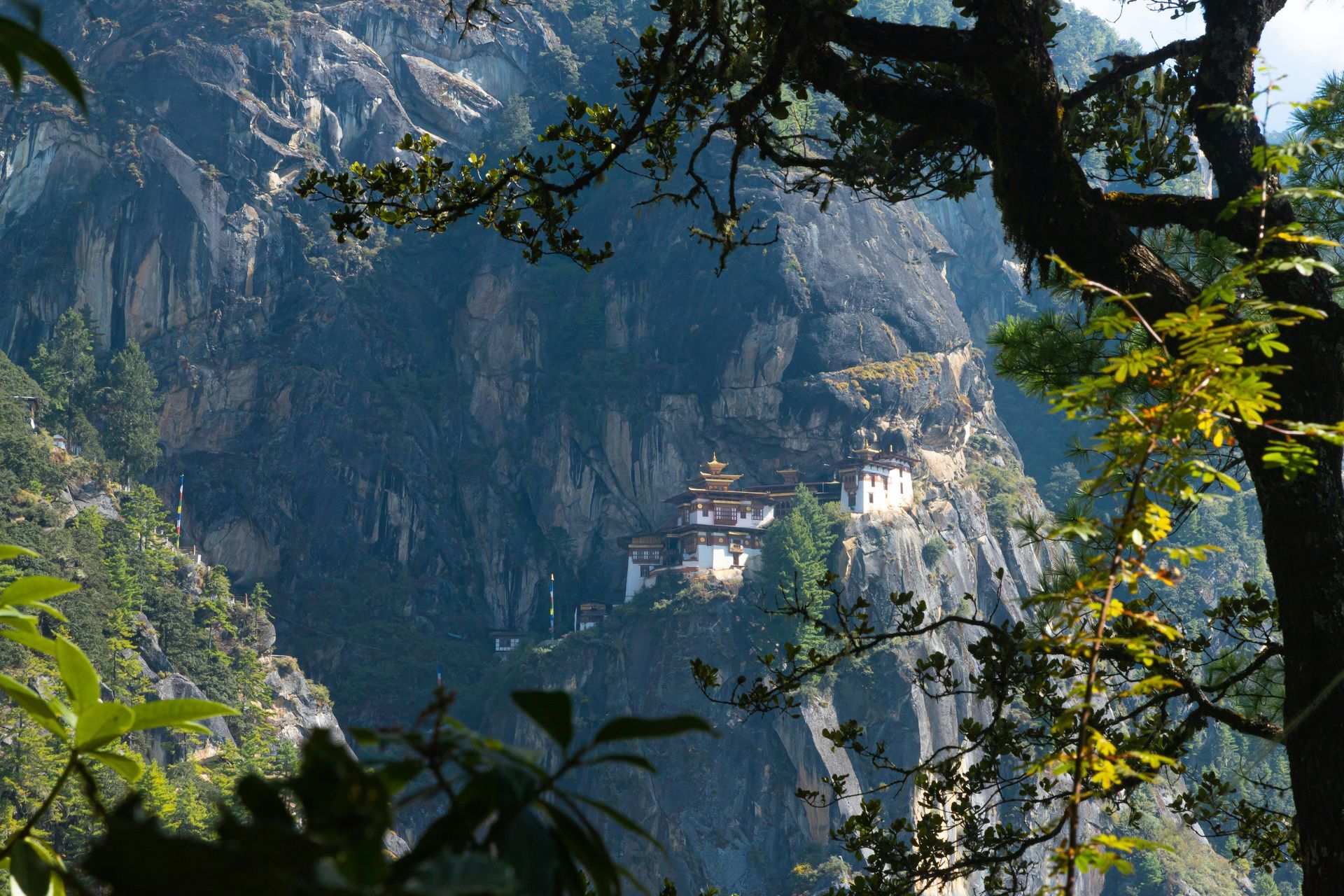 Cliffside Monastery in Bhutan, white buildings with golden roofs nestled on a steep mountain.