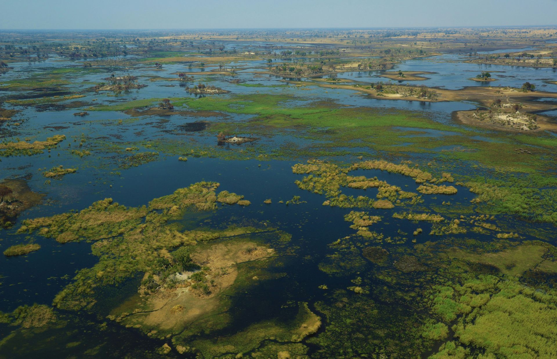 Aerial view of a vast wetland with green vegetation and dark blue water at the Okavango Delta, Botswana.