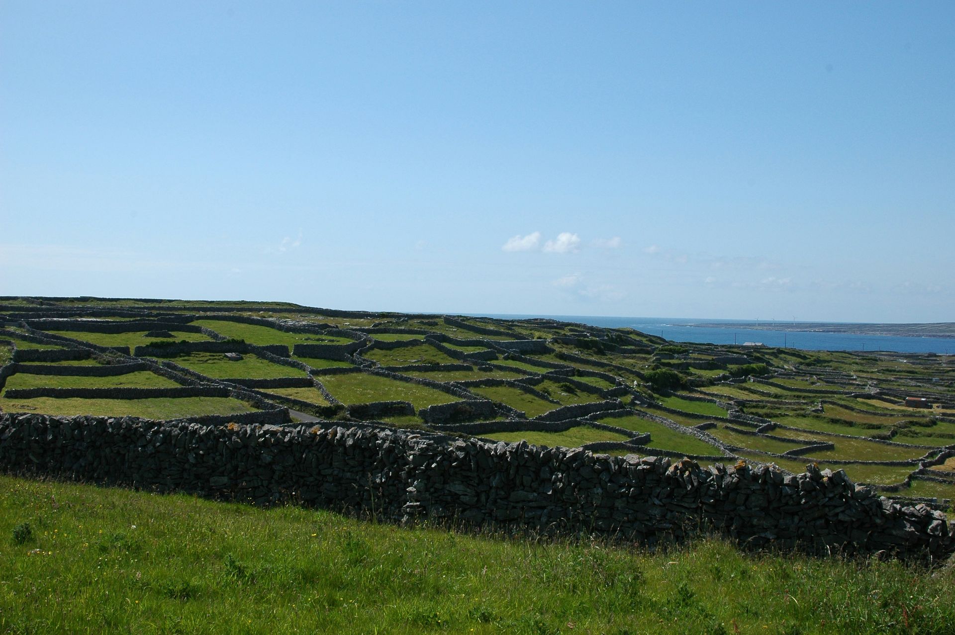Green fields divided by stone walls, rolling toward the sea under a blue sky on the Aran Islands, Ireland.