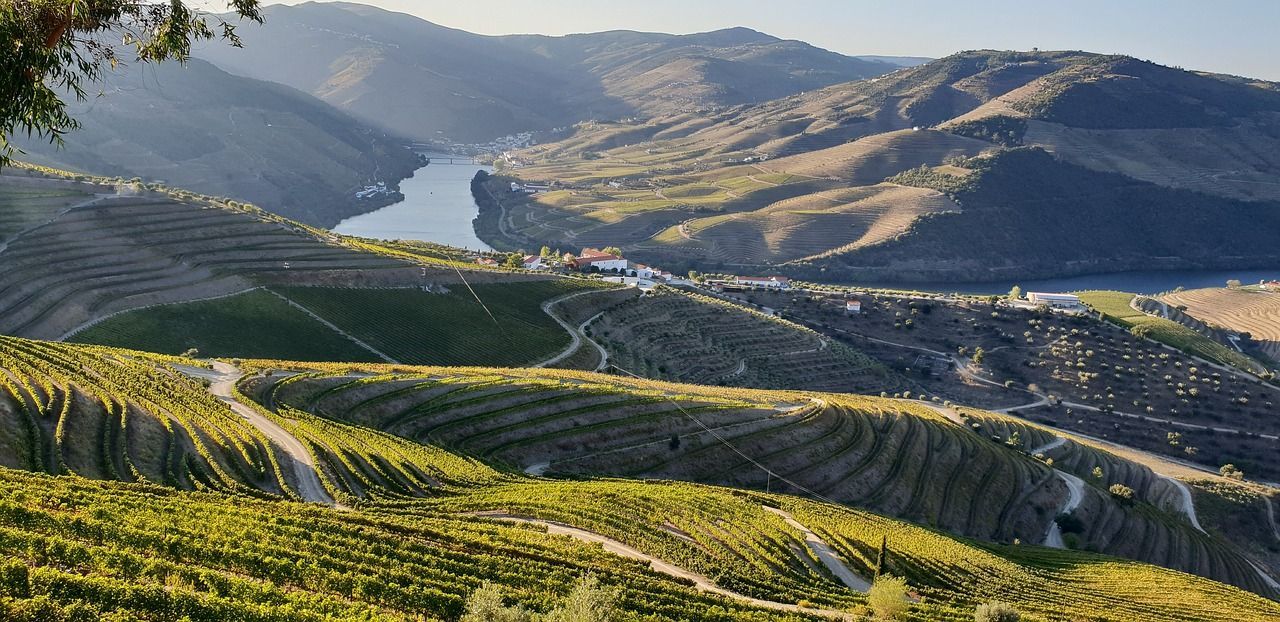 A view of the Douro River surrounded by mountains and vineyards.