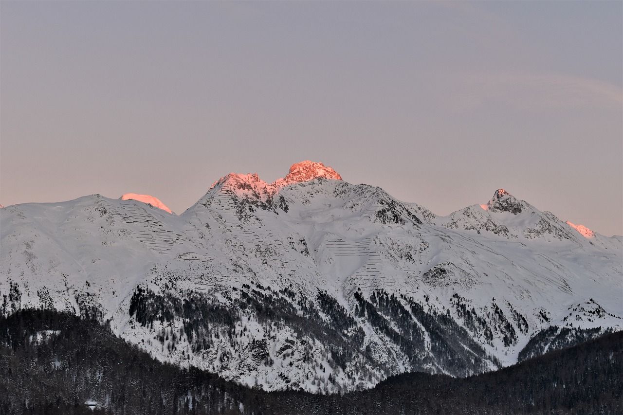 A snowy mountain range with trees in the foreground and a pink sky in the background in Switzerland.