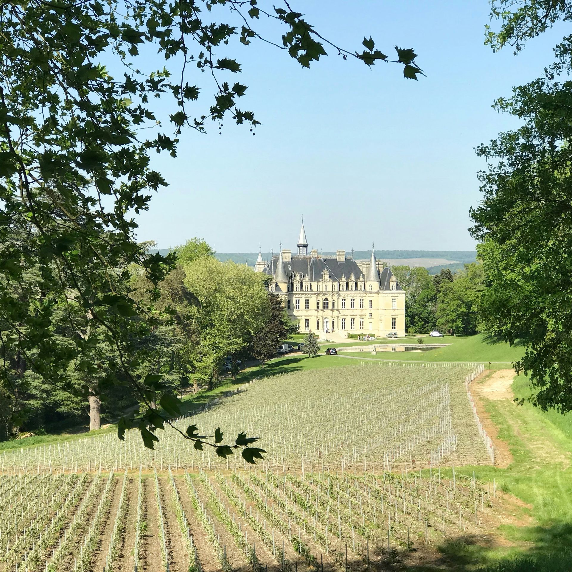 Château de Boursault is visible in the distance behind a vineyard in France.