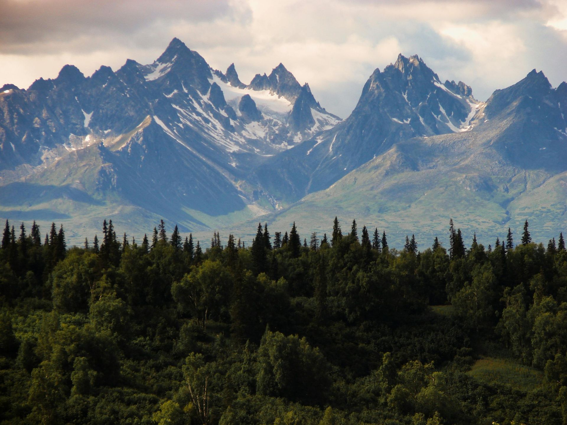 Jagged snow-capped mountains rise behind a lush green forest. Cloudy sky overhead.