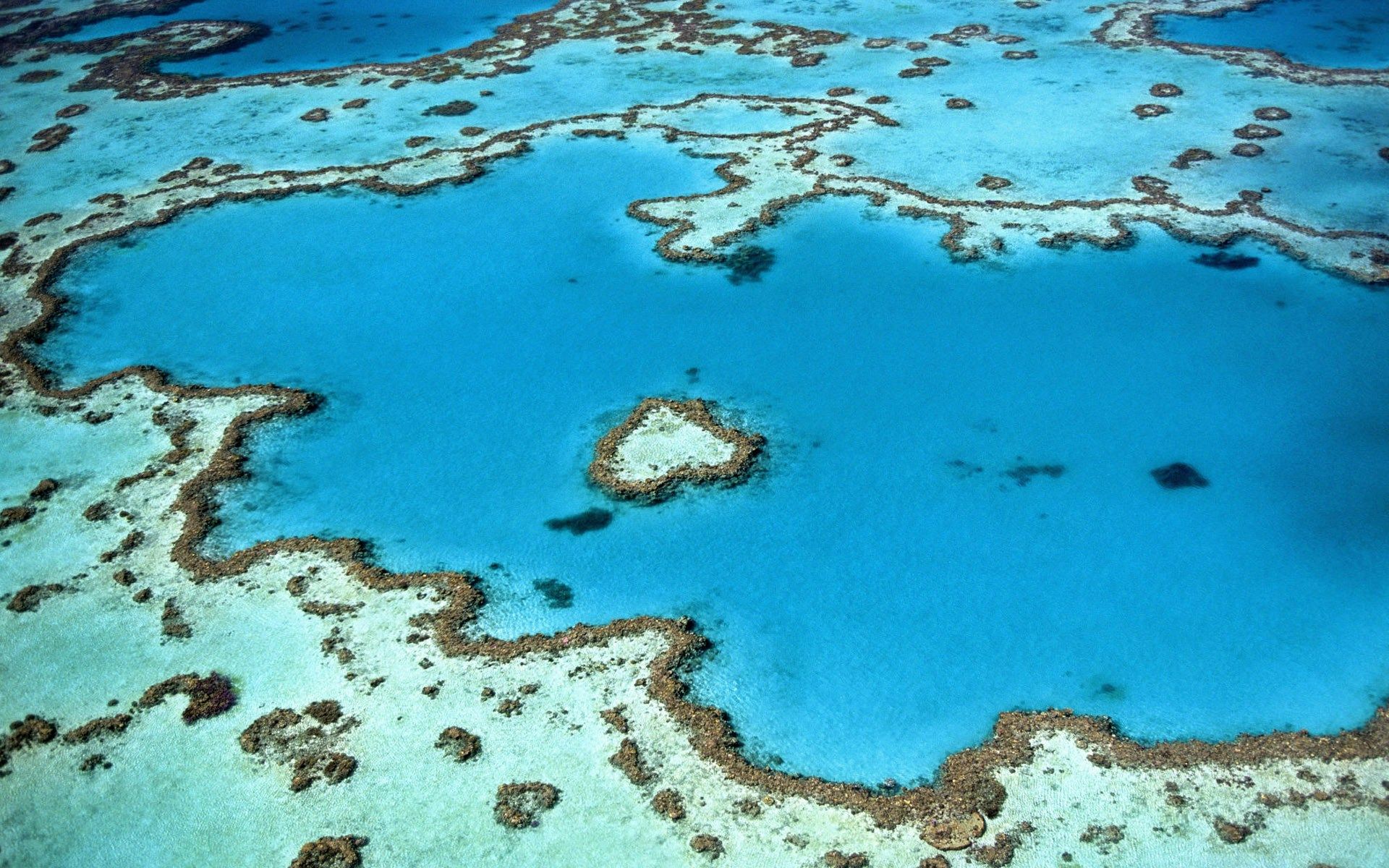 An aerial view of Heart Reef in the ocean in Australia. 