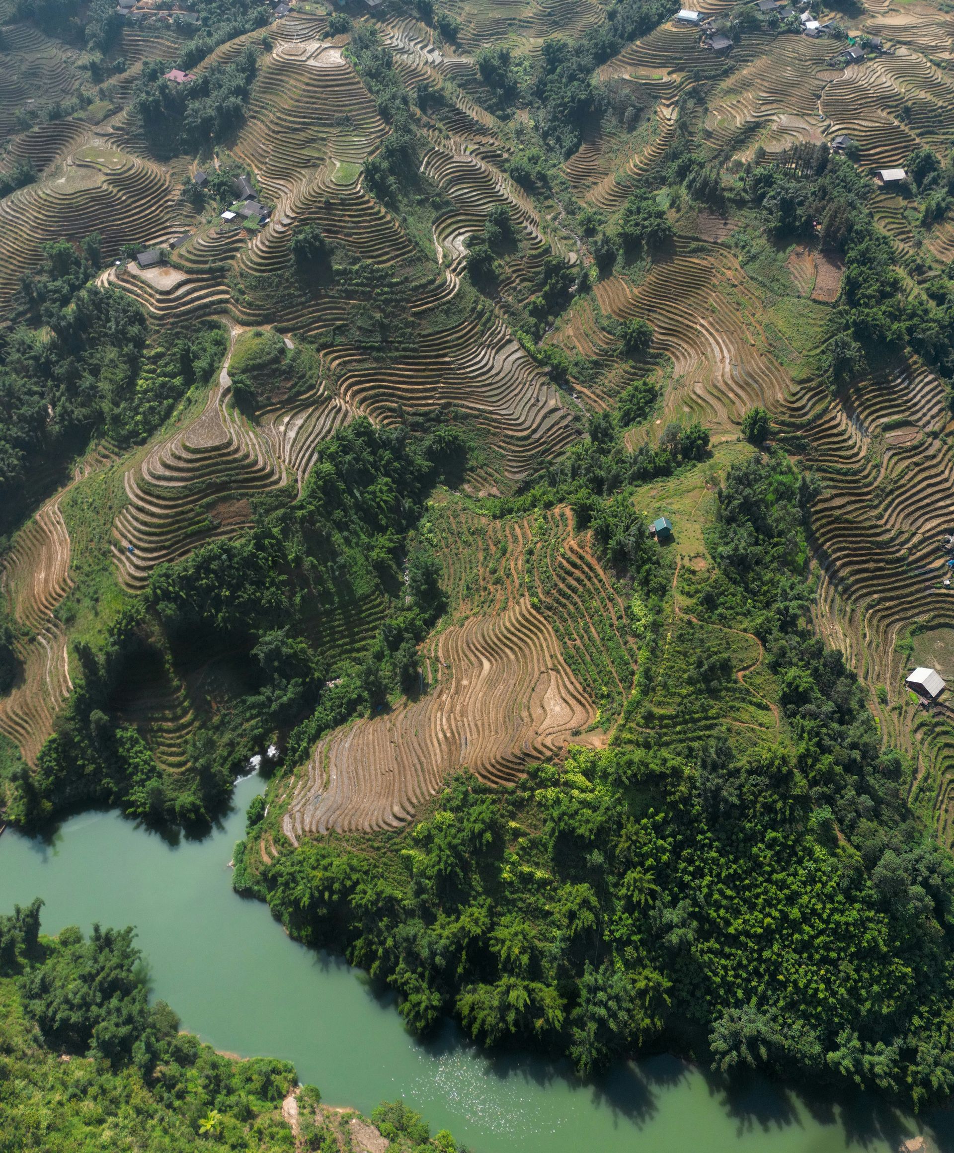 Terraced rice fields on green hillsides next to a river, dotted with trees and small buildings in Sapa, Vietnam. 