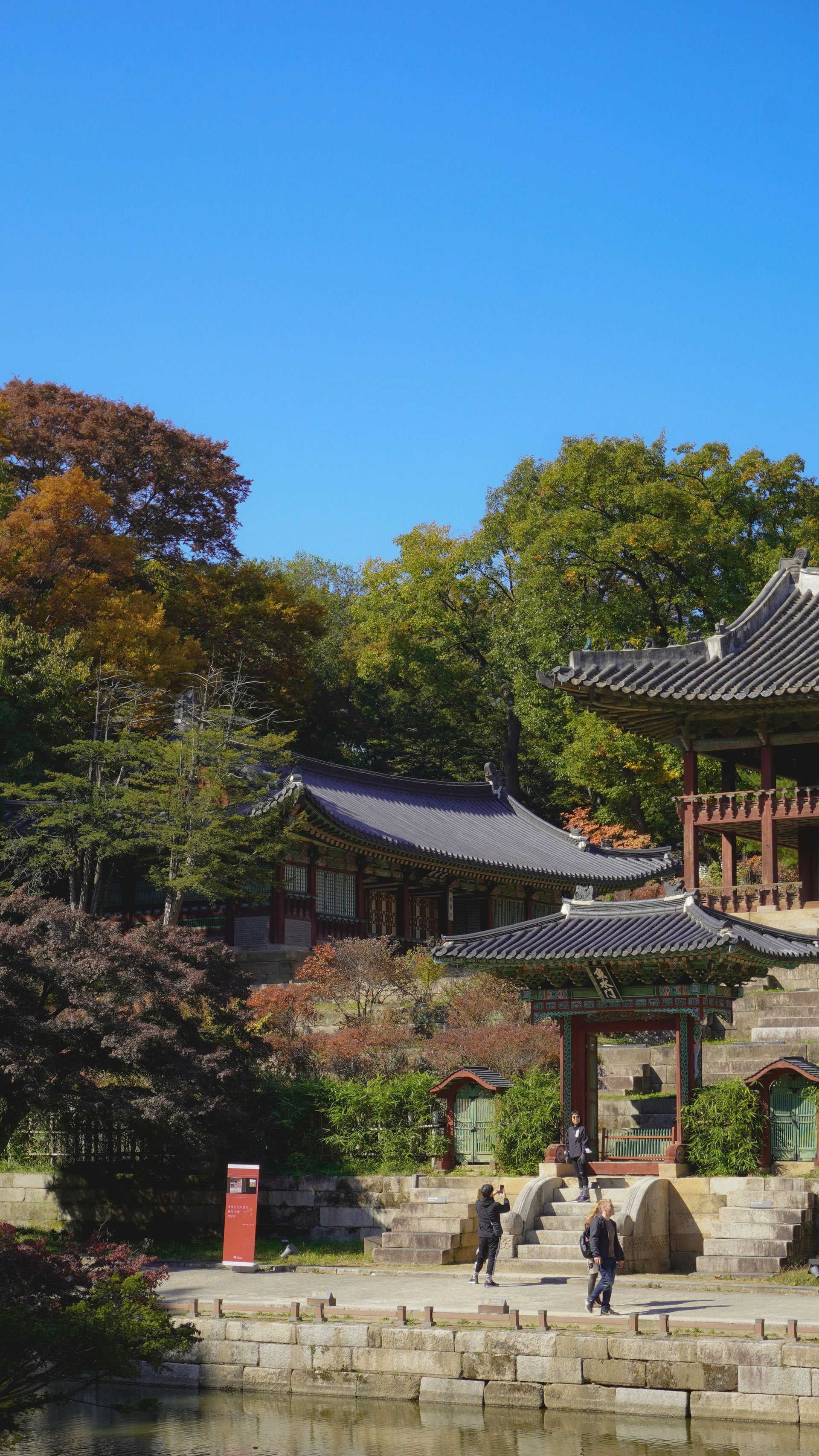 Changdeokgung Palace with dark tile roofs and stone steps, surrounded by trees in South Korea.