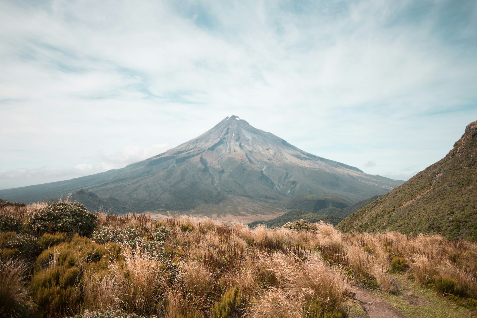 Mount Taranaki covered in snow is surrounded by tall grass and trees in New Zealand.