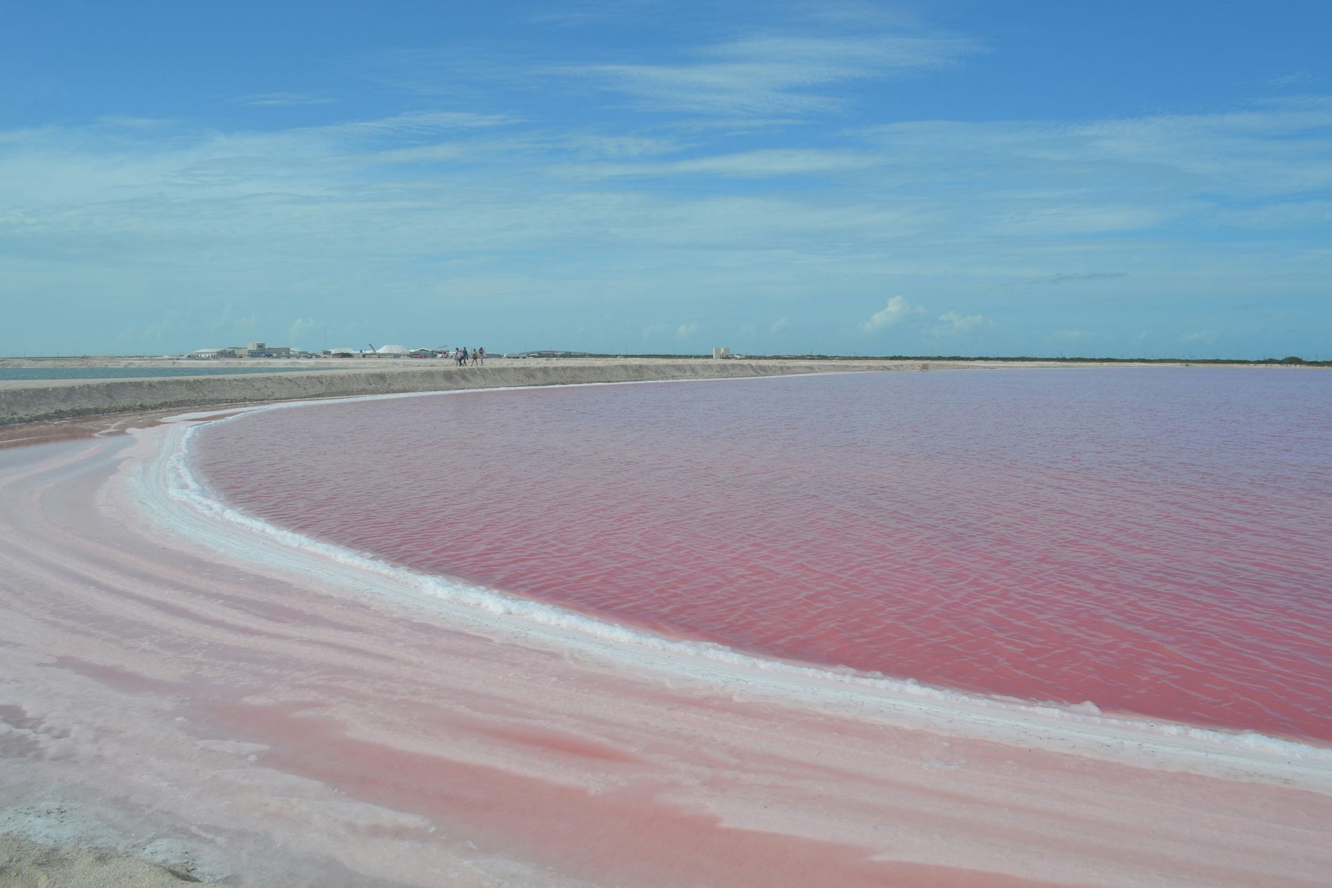 Pink salt lake under a blue sky. Buildings are visible in the distance in Mexico.