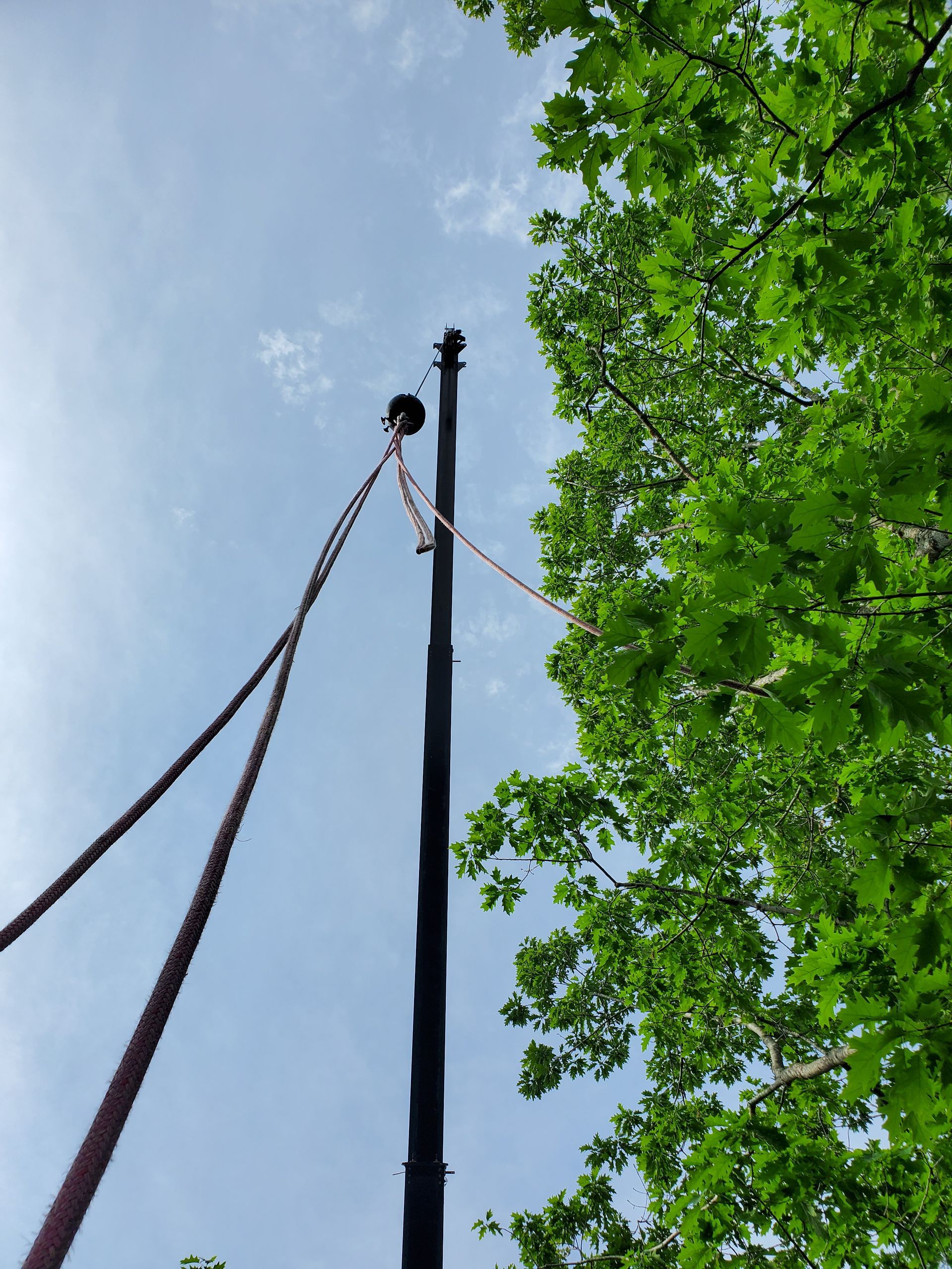 A rope is hanging from a pole with trees in the background