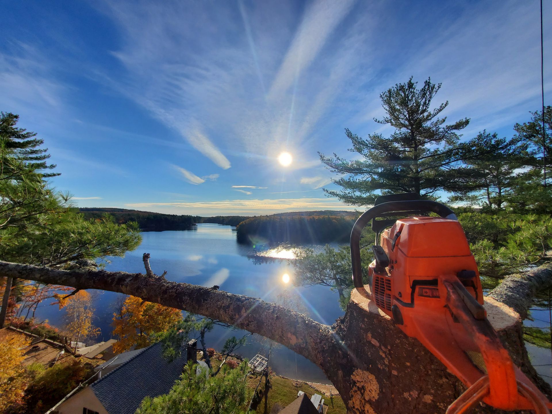 A tree is being cut down by a chainsaw with a lake in the background