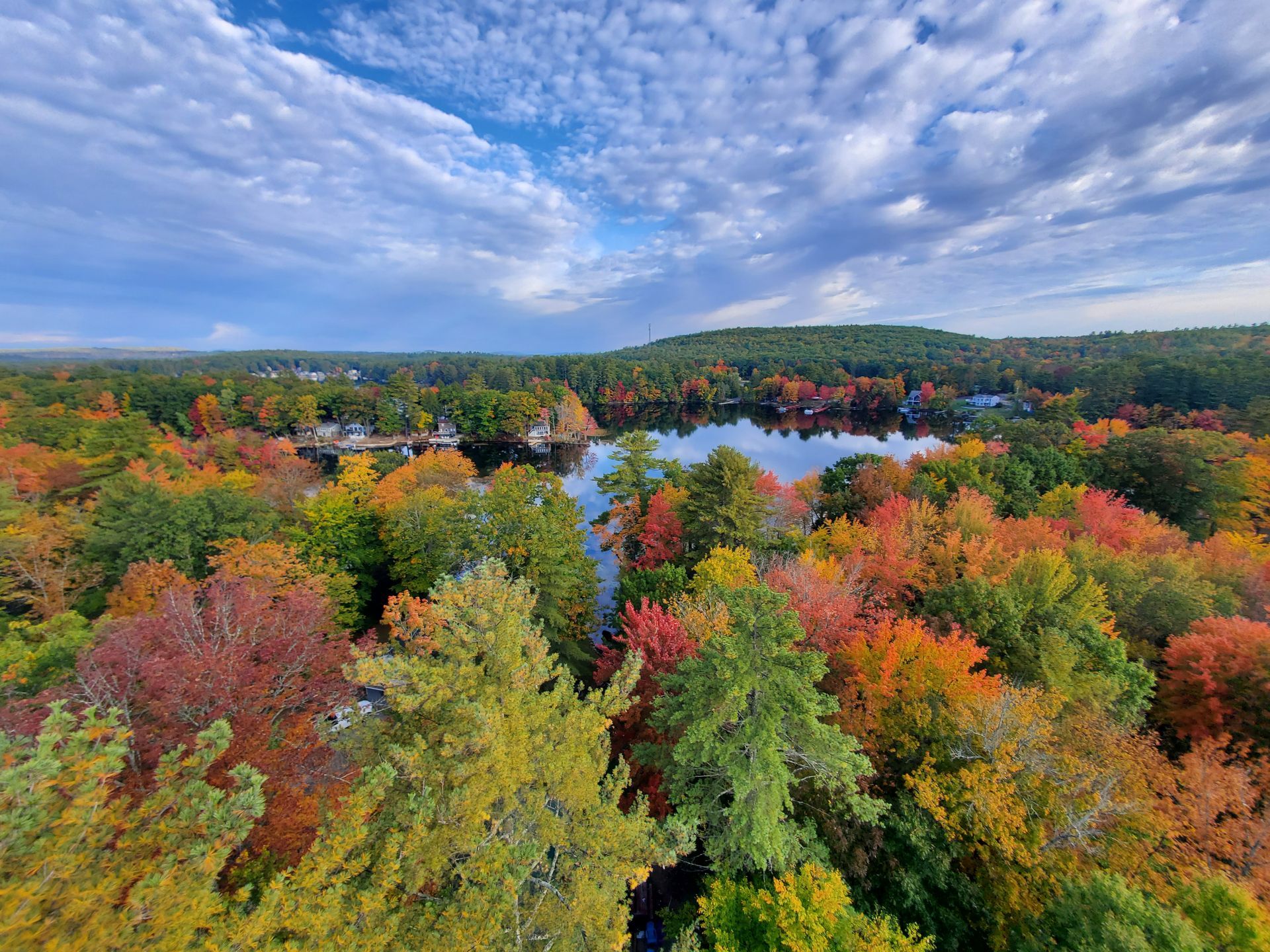 An aerial view of a forest with trees changing colors and a lake in the background.