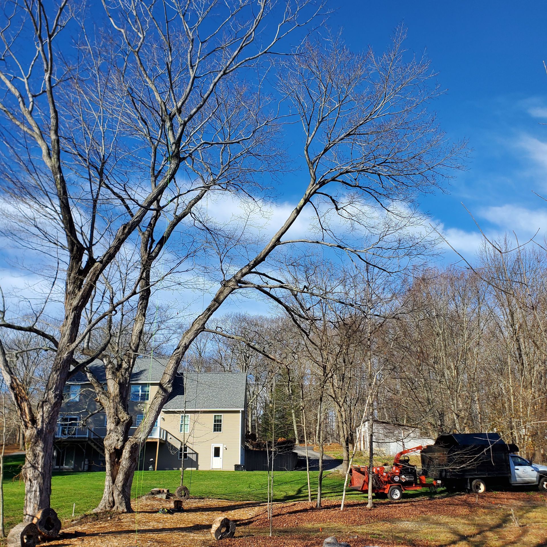 A house with a lot of trees in front of it