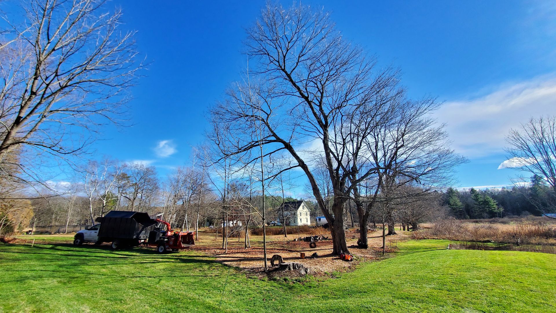 A truck is parked in a grassy field with trees in the background.