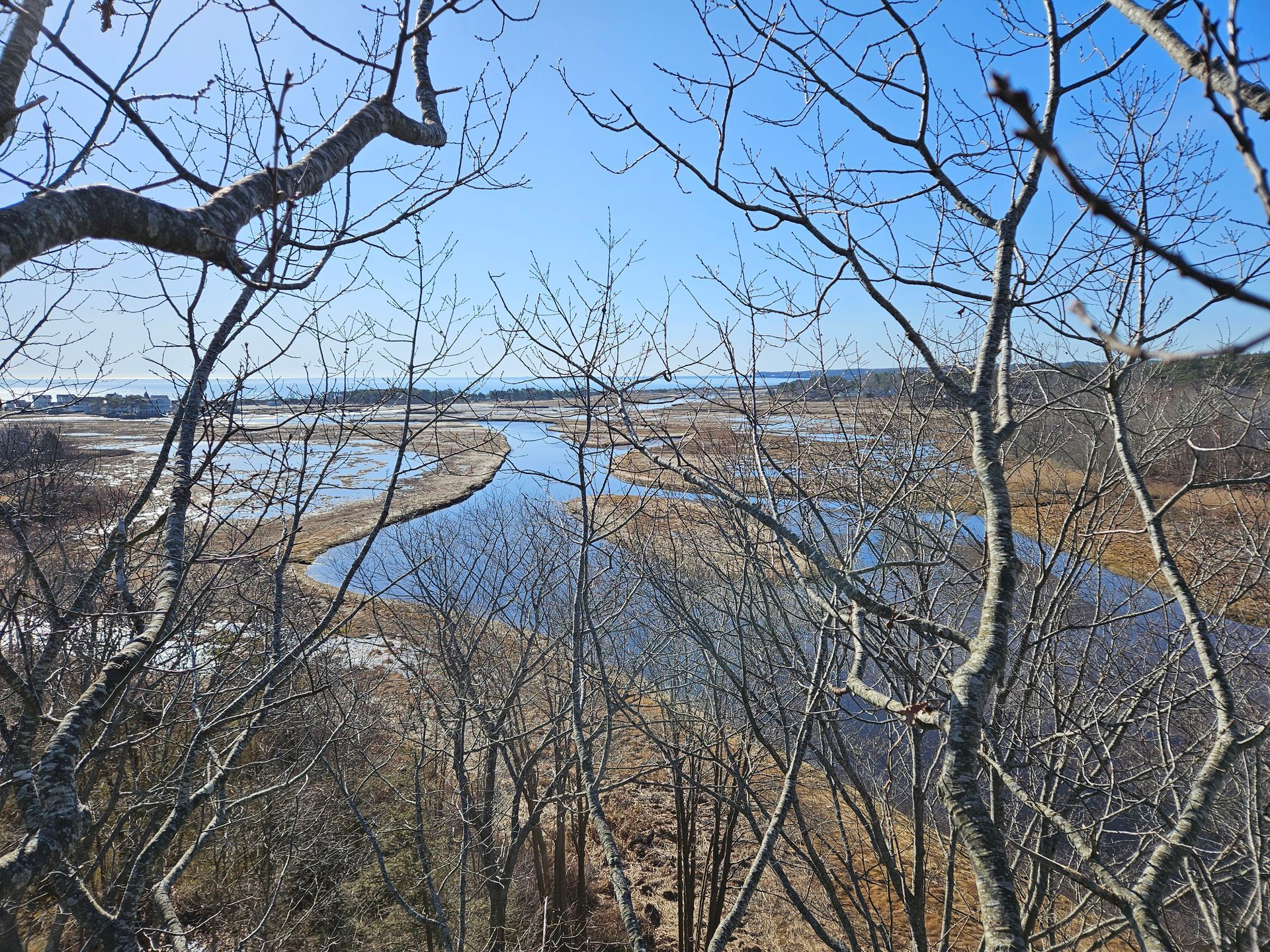 A river surrounded by trees on a sunny day