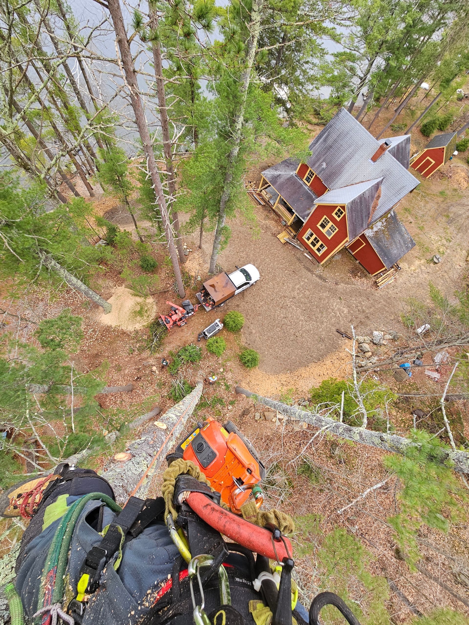 An aerial view of a house in the middle of a forest.