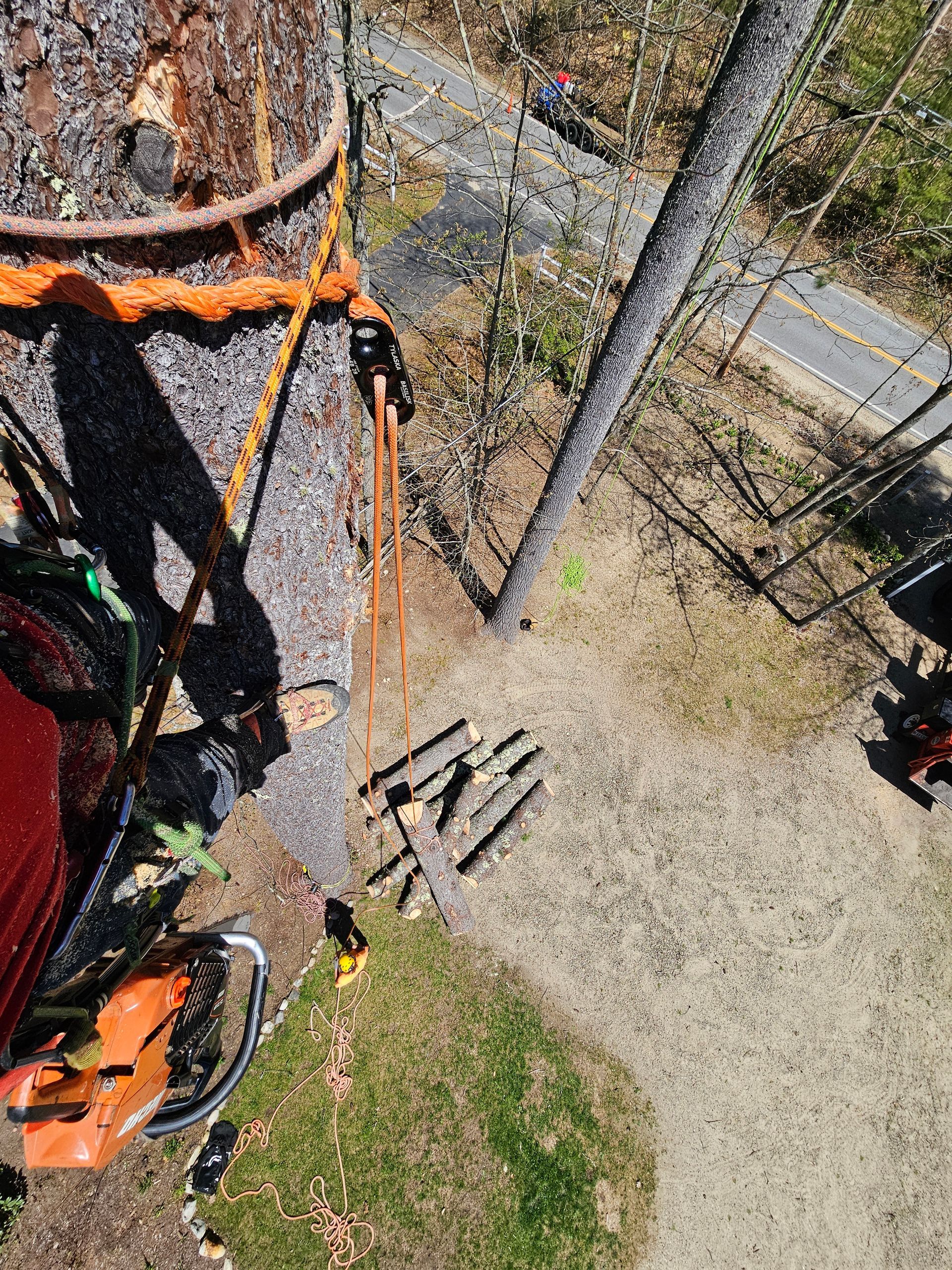 An aerial view of a person cutting a tree with a chainsaw.