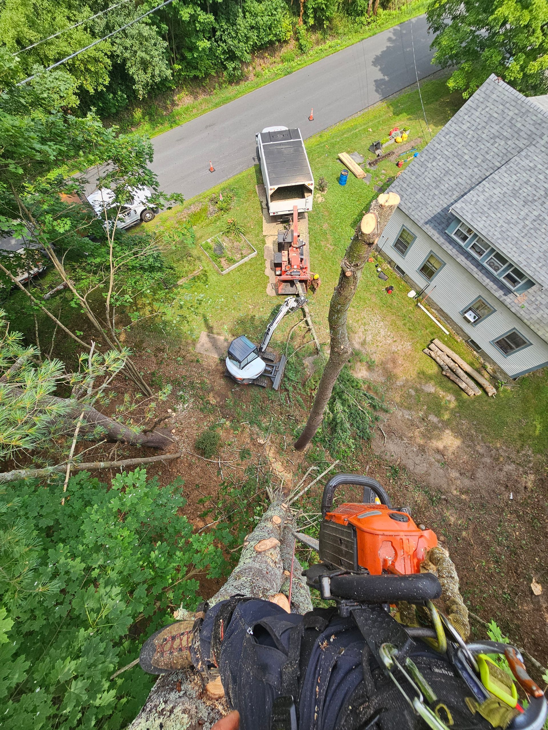 An aerial view of a person cutting a tree with a chainsaw.