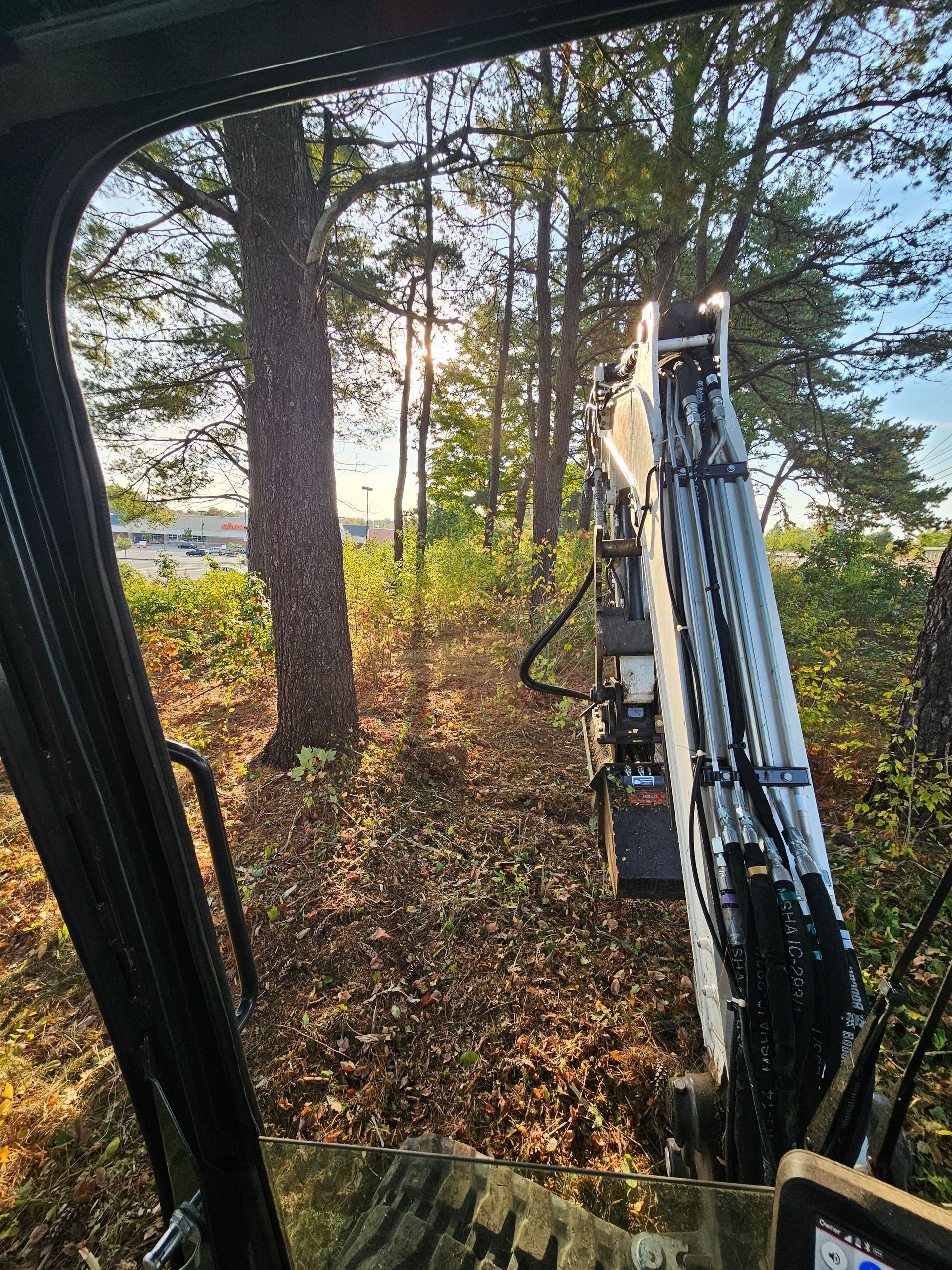 A person is driving a bulldozer through a forest.