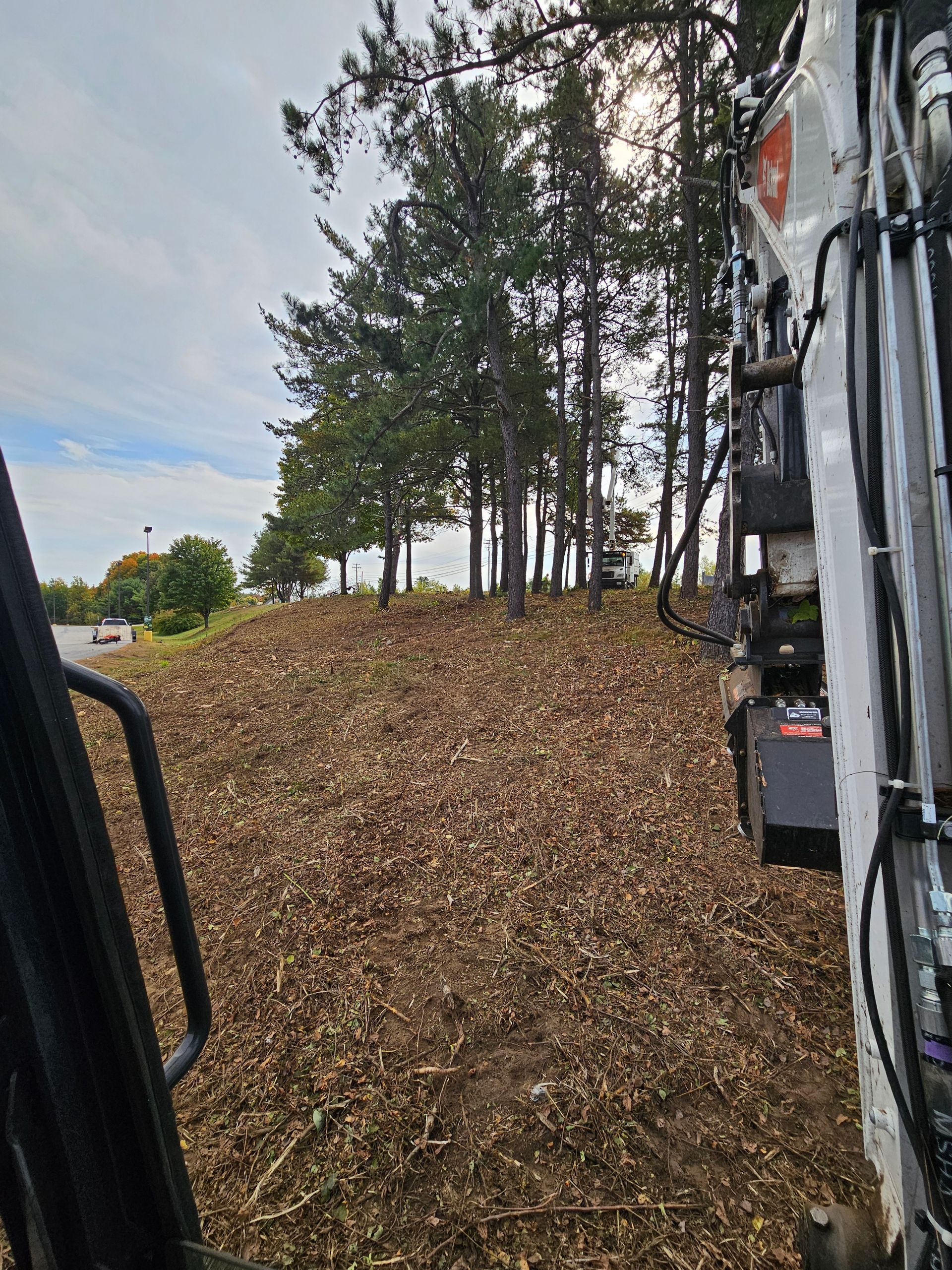 A large pile of wood chips is sitting in the middle of a forest.