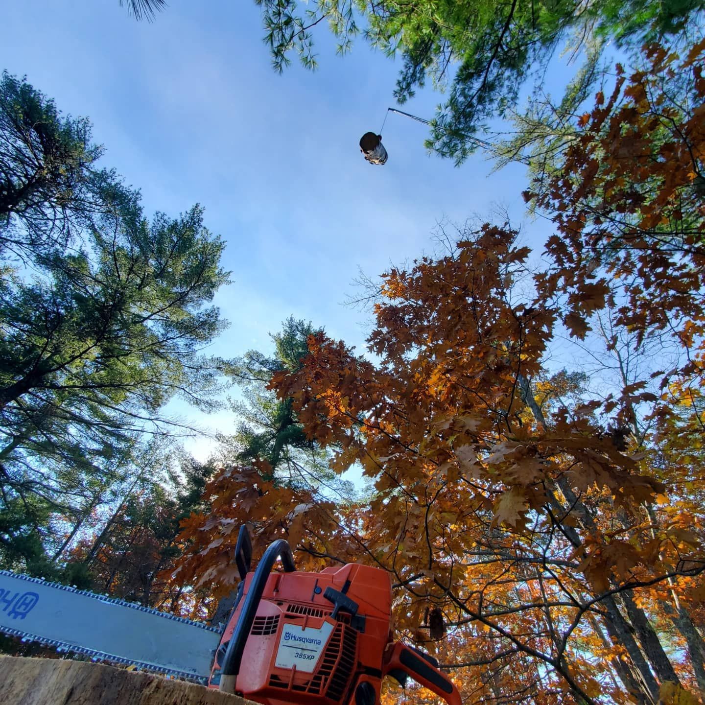 A husqvarna chainsaw is sitting on a log in the woods
