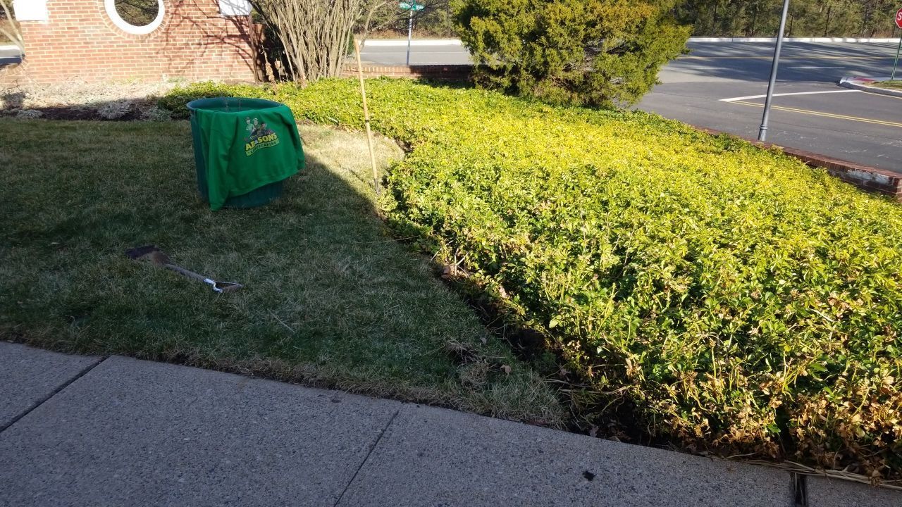 A green box is sitting in the grass next to a hedge.
