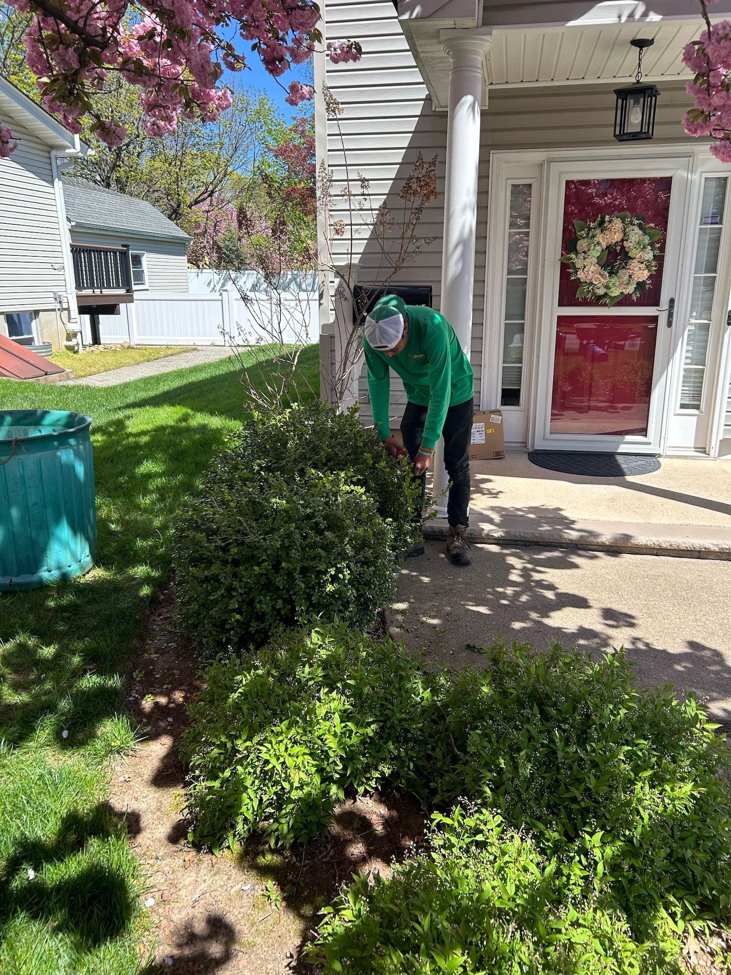 employee hedge trimming shrubs and bushes. 