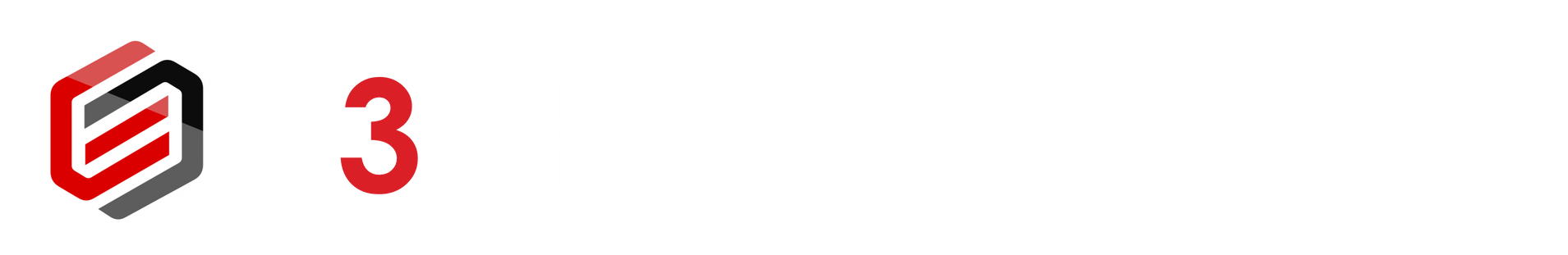 Light Logo
