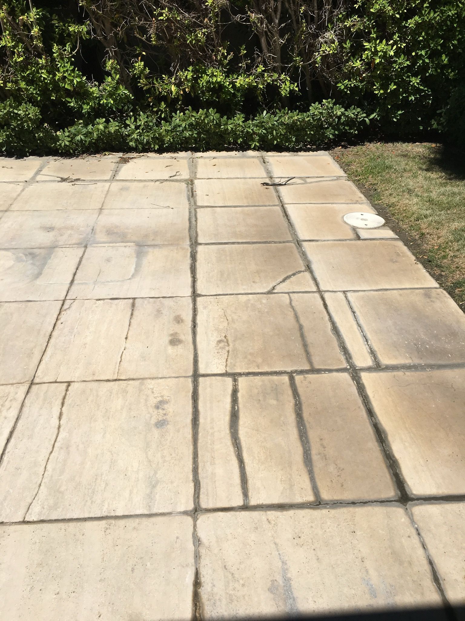 Stone patio with visible cracks and staining, surrounded by greenery.