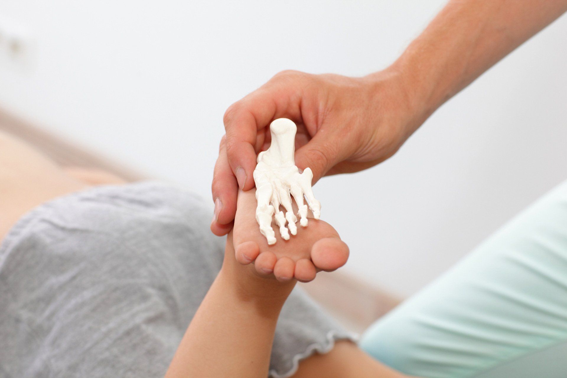 Anatomy Lesson on Child | Central Coast, Nsw | Angela Green Podiatry