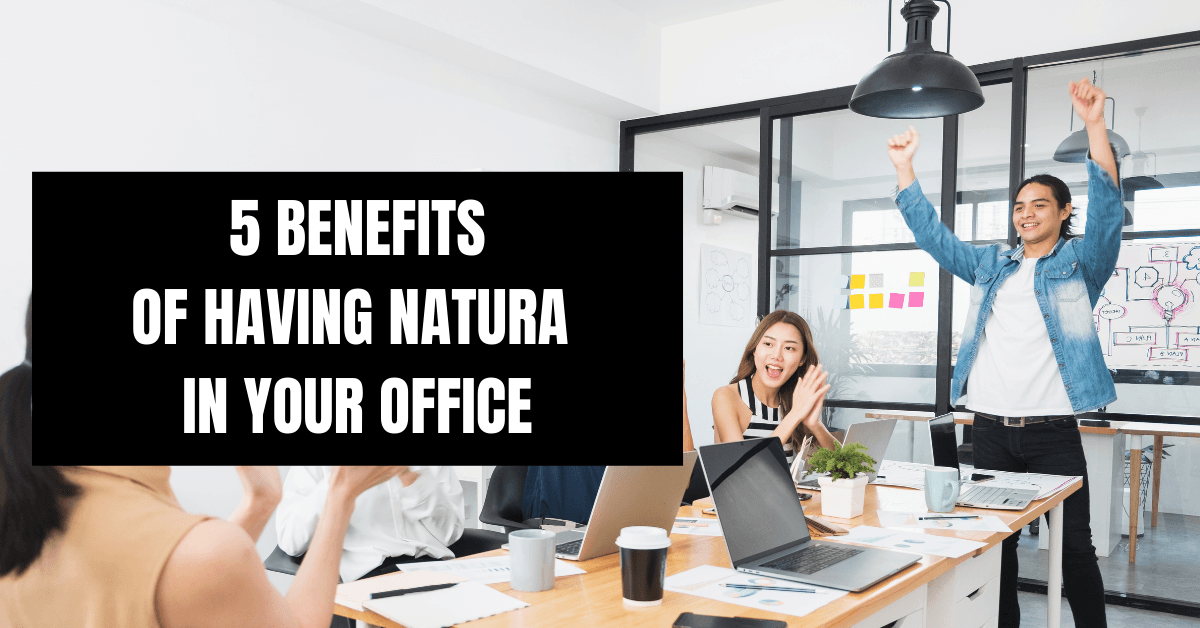 5 Benefits of Having Natura In Your Office in 2022