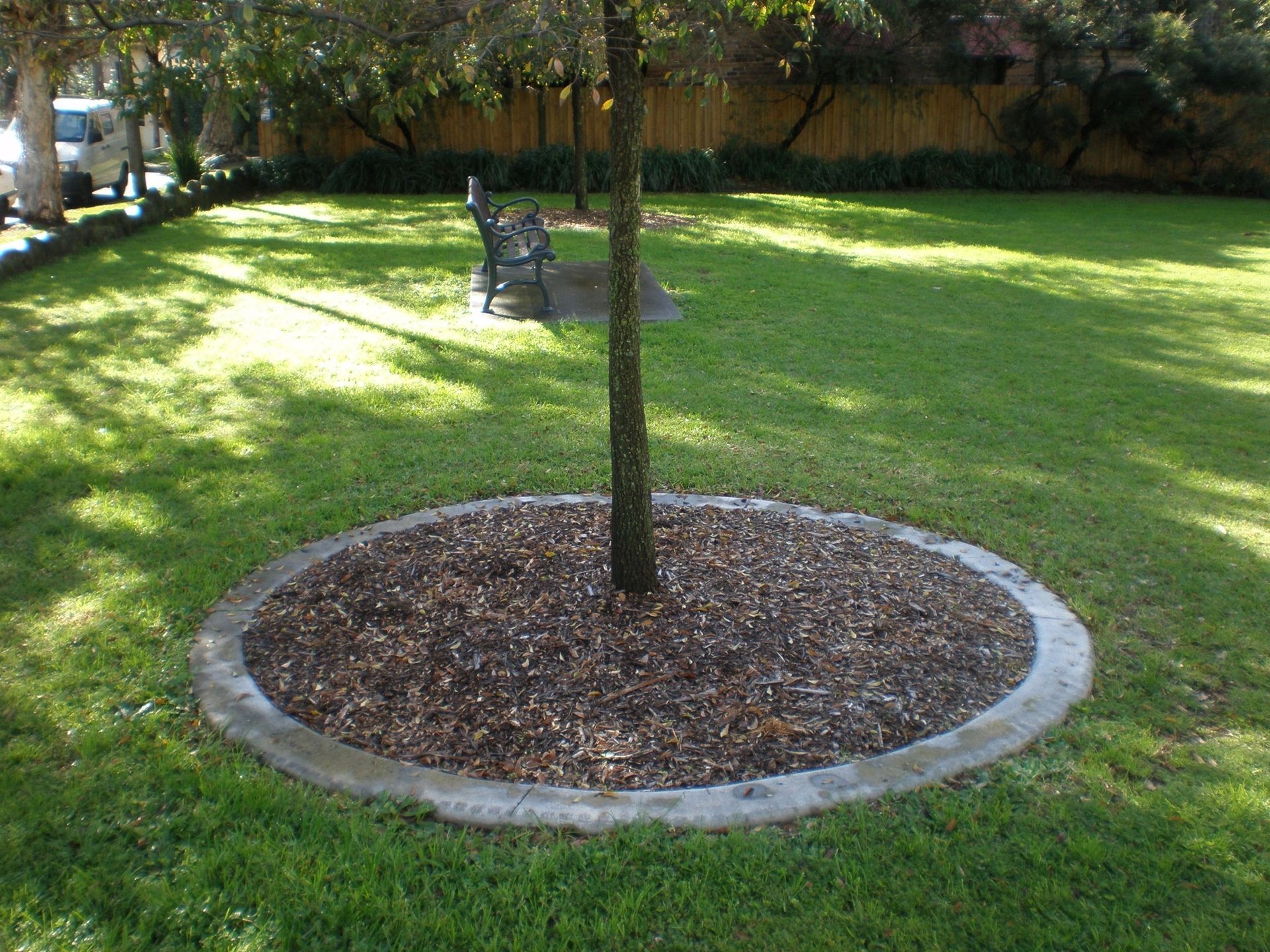 Small Tree with Kerbing | Sydney, NSW | Kerbing Projects Australia