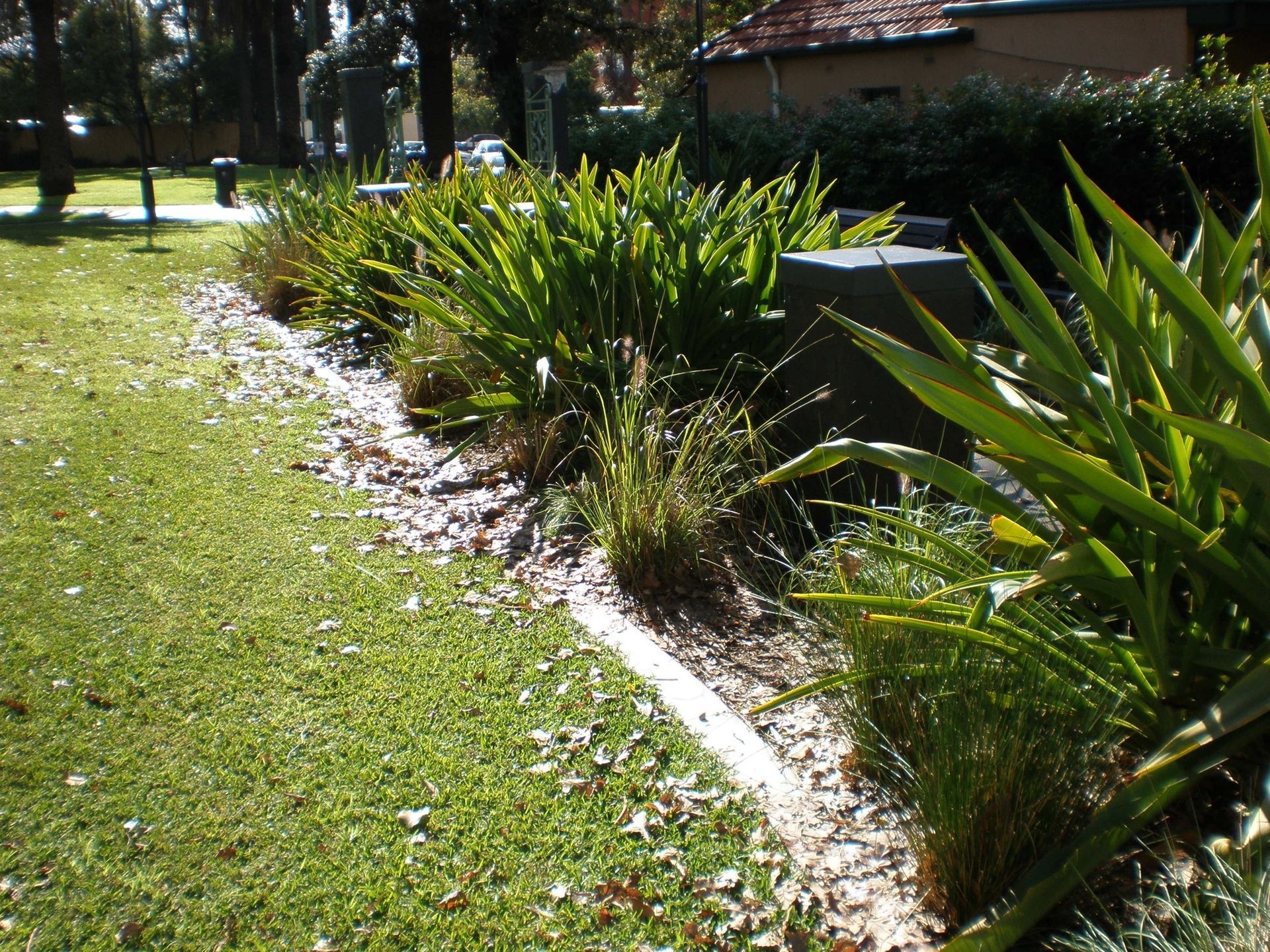 Lawn Full of Dry Leaves | Sydney, NSW | Kerbing Projects Australia