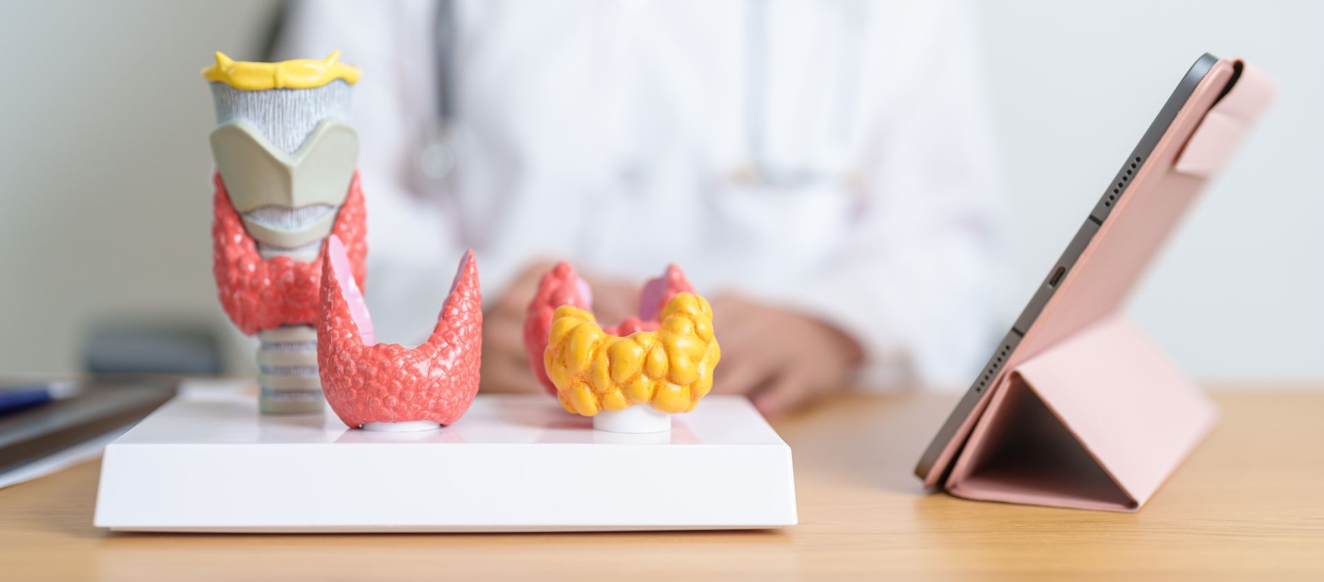 A experiência do cirurgião e o uso de monitoramento de nervos reduzem significativamente os riscos de rouquidão e hipocalcemia após a cirurgia de tireoide. Cirurgião de cabeça e pescoço realizando tireoidectomia com preservação do nervo da voz e das glândulas paratireoides.