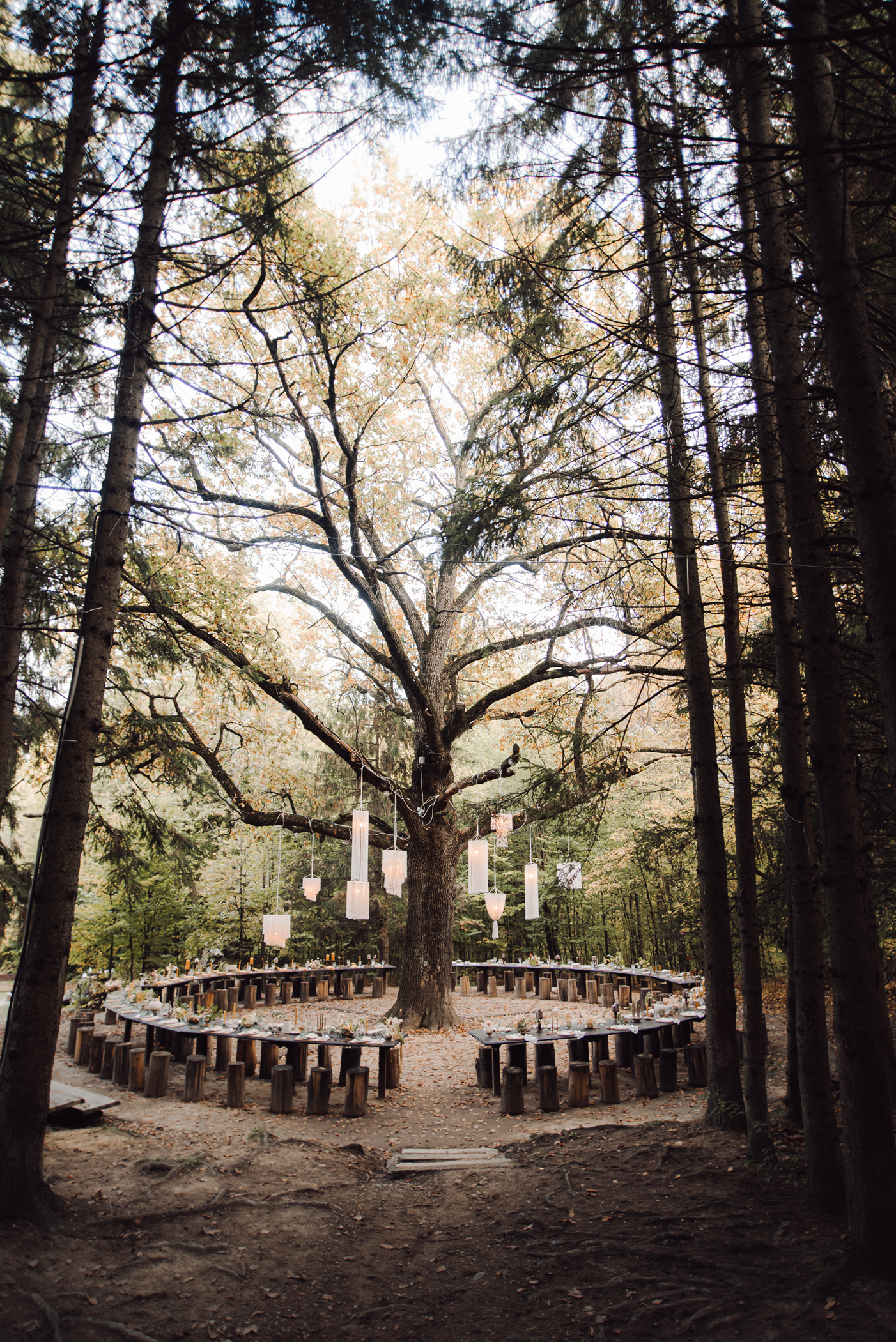 Jaaropleiding Wedding Planner & Business-skills