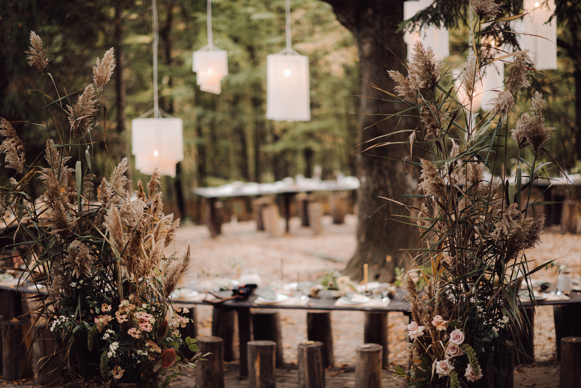 Weddingplanner vakopleiding
