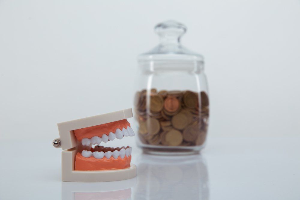 Model of Jaw and Jar With Coins — Dentistry Services in Cairns, QLD