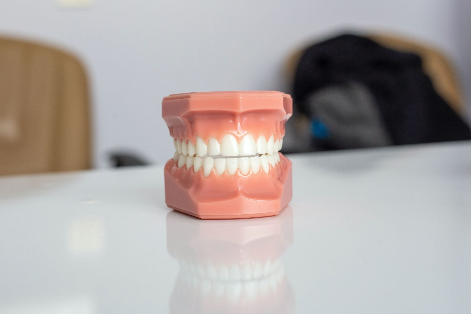 Tooth Model — Dentistry Services in Cairns, QLD