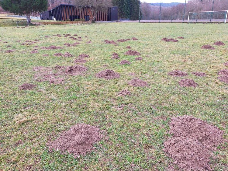 Un terrain avec beaucoup de terre dessus et un but de football en arrière-plan.