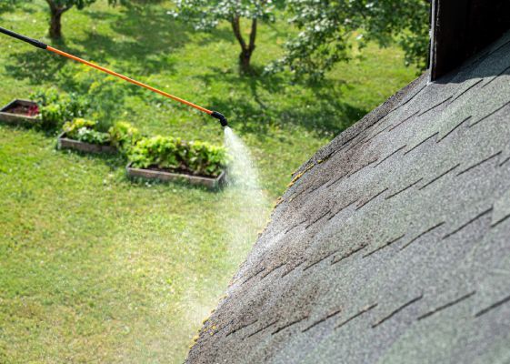 A person is spraying a roof with a sprayer.