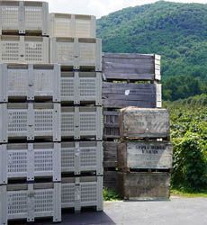 Cajas de madera y contenedores para granel con ventilación