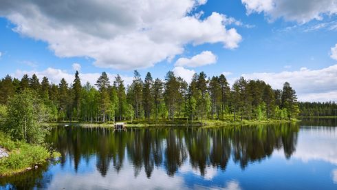 a lake surrounded by trees on a cloudy day