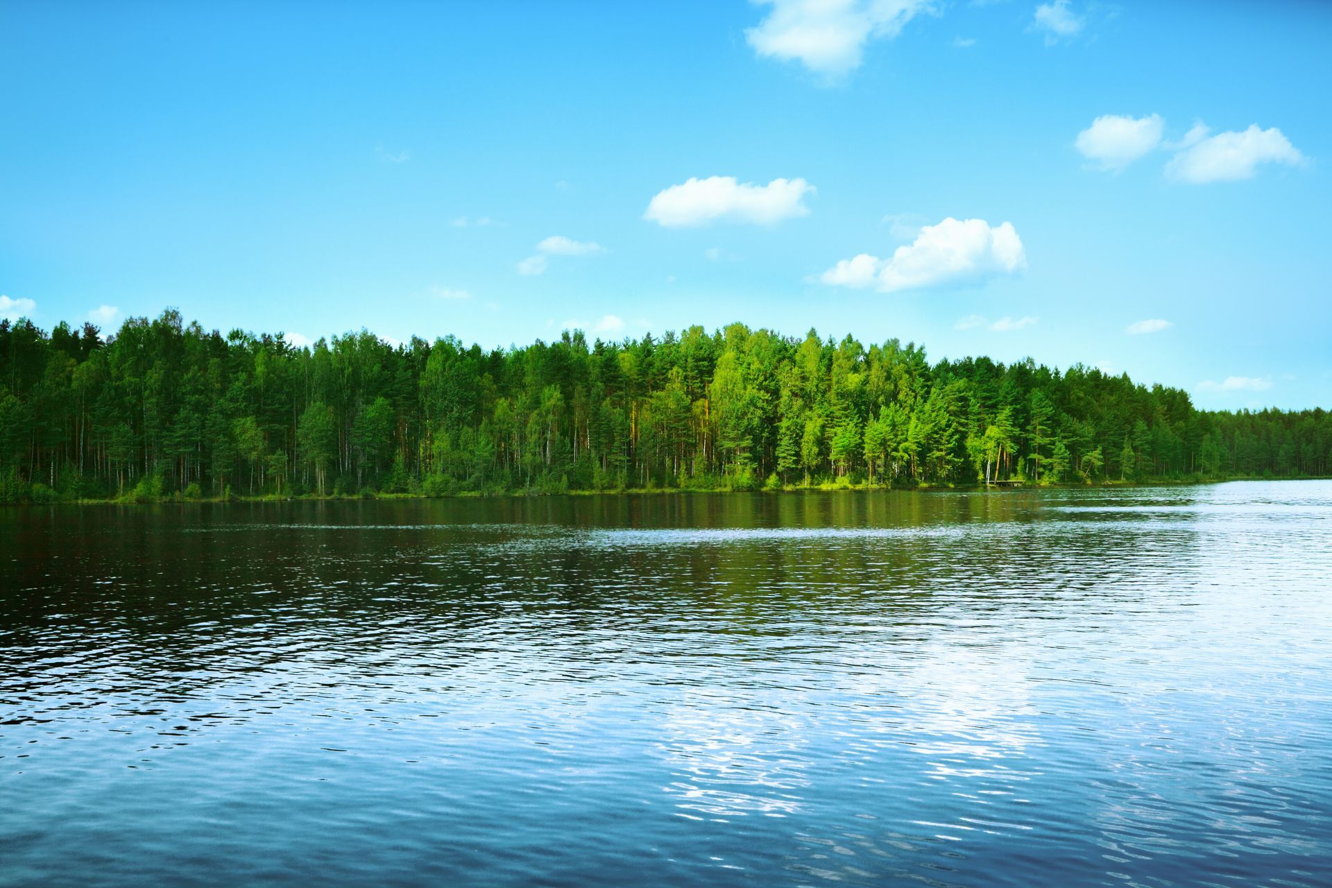 a lake surrounded by trees on a sunny day