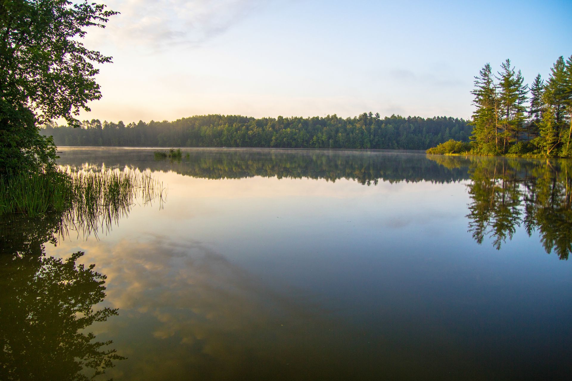 a large body of water surrounded by trees on a sunny day .