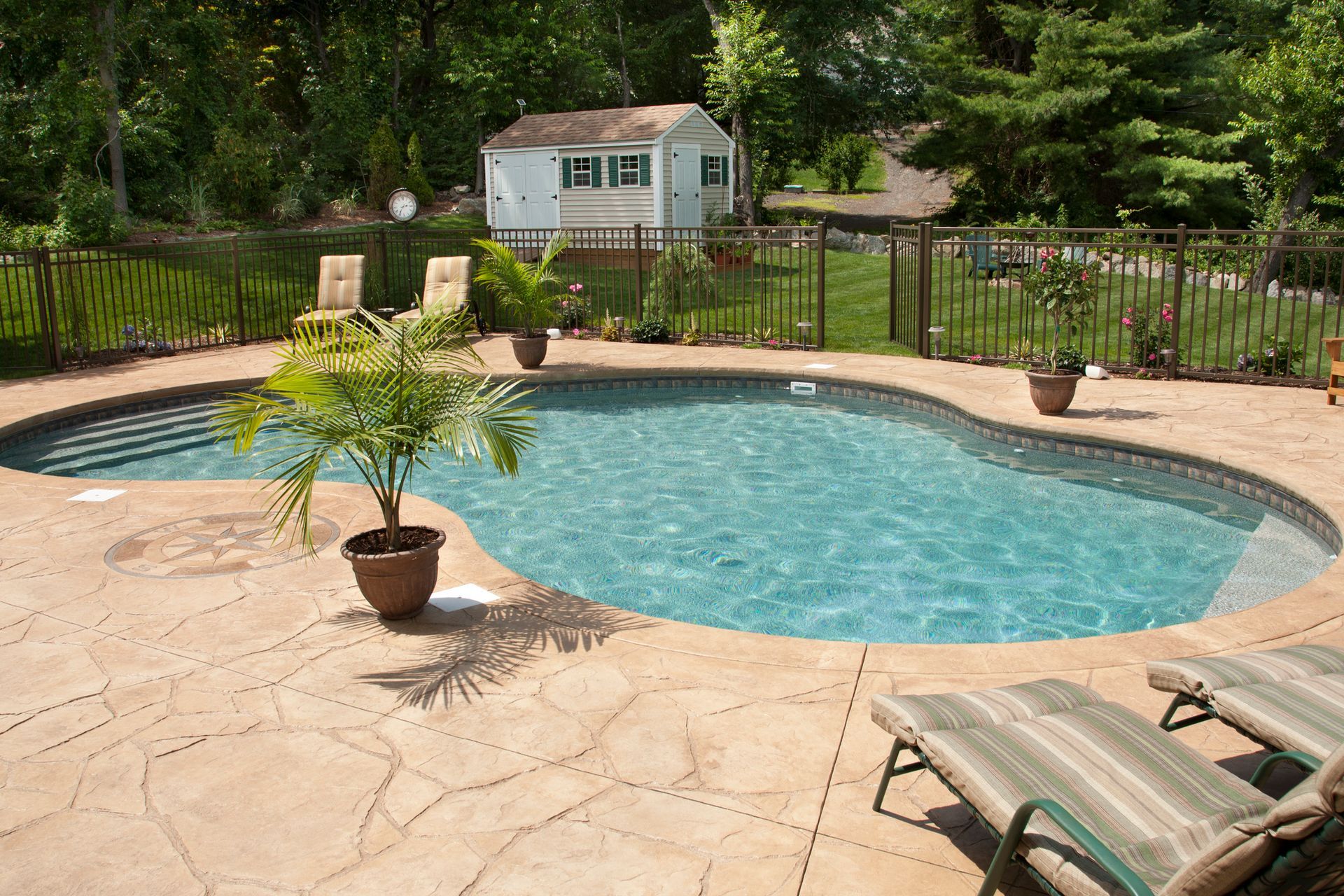 Swimming pool with lounge chairs, plants, and a small shed in the background.