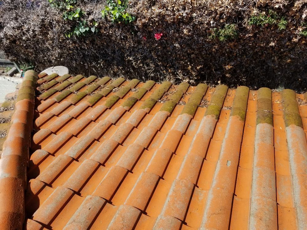 A roof with a lot of tiles and moss on it