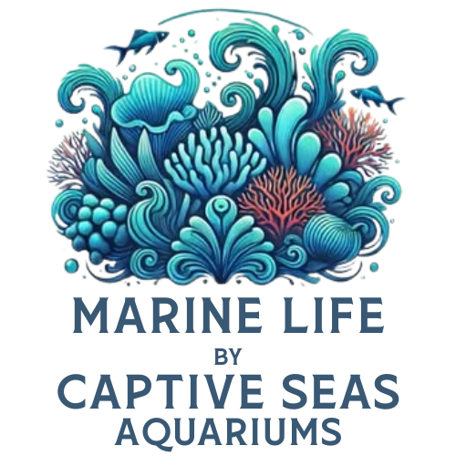 Marine Life by Captive Seas Aquariums Logo
